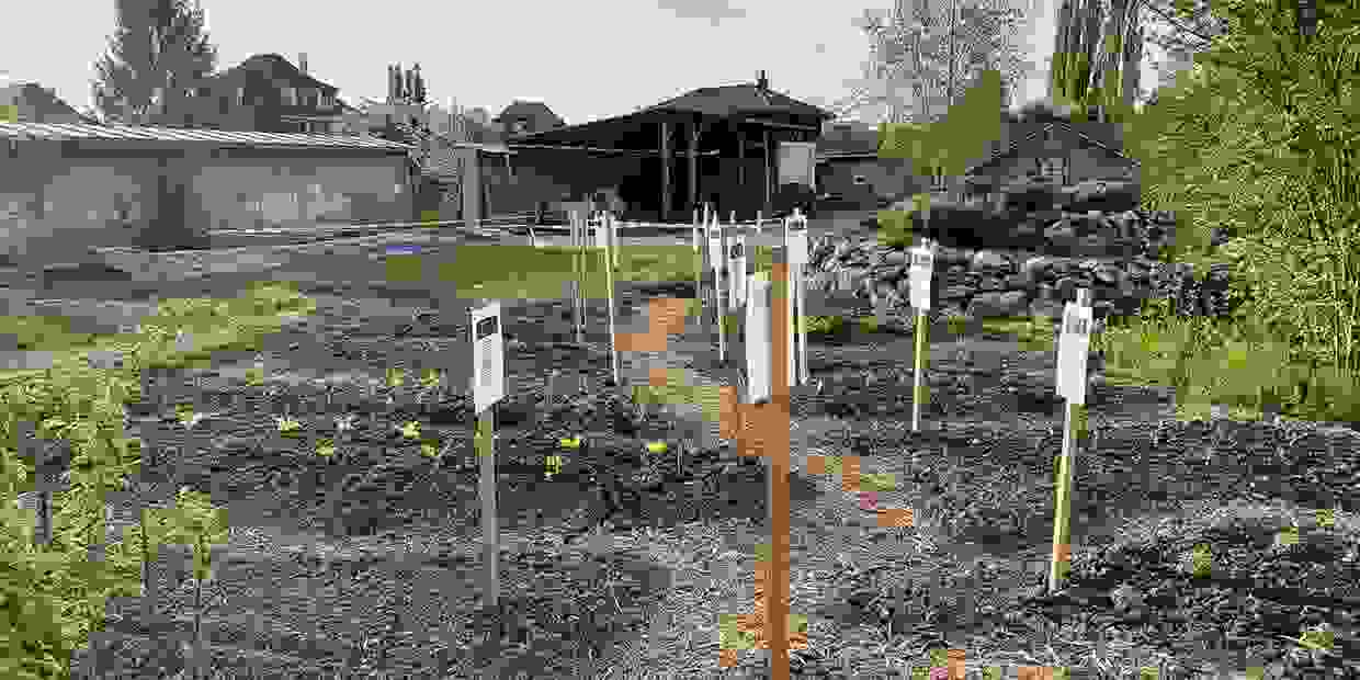 Gartenstadt Thun