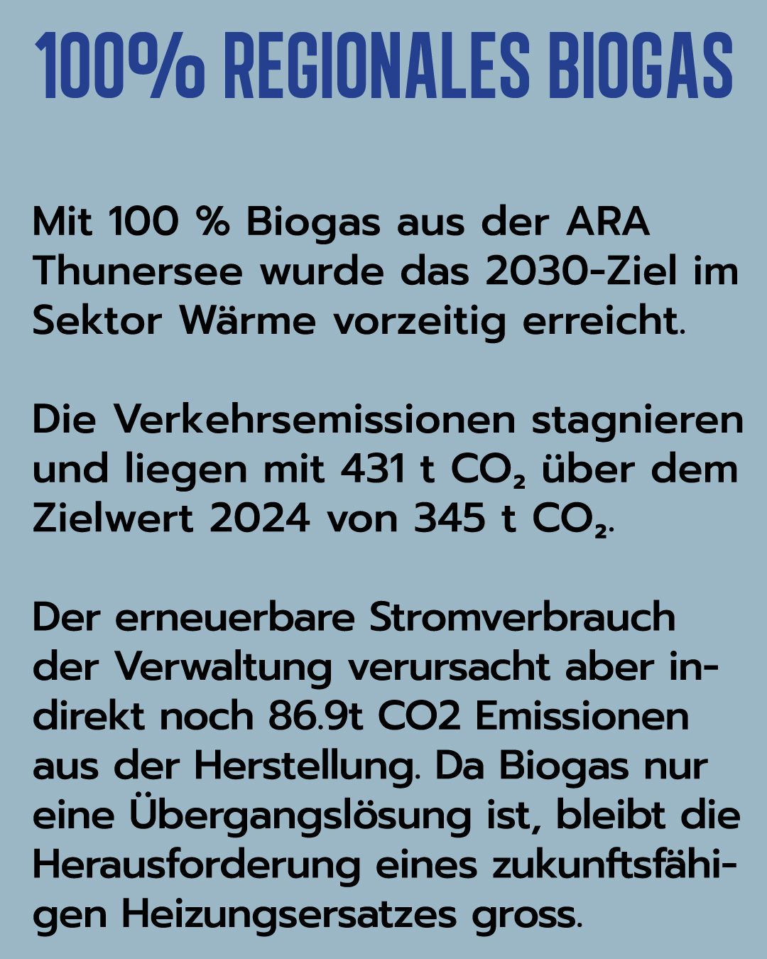 Monitoringbericht 2024 Stadt Thun