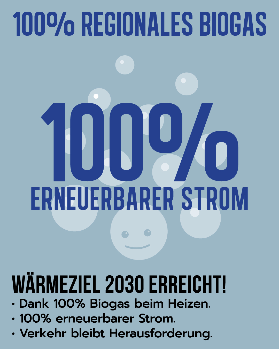 Monitoringbericht 2024 Stadt Thun