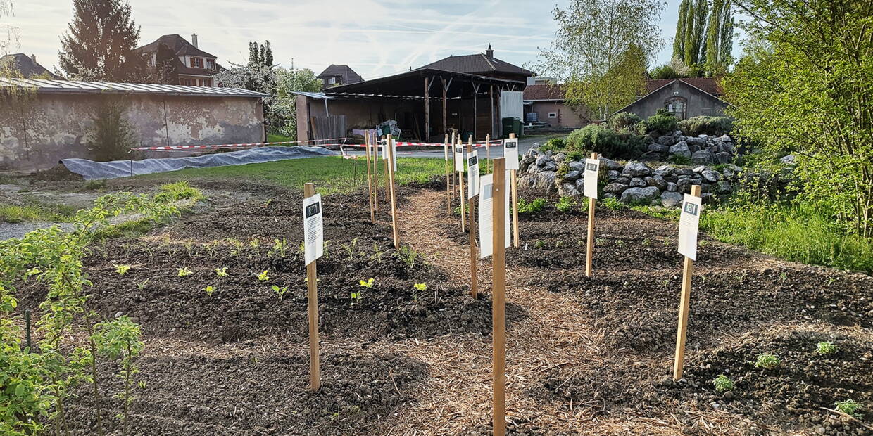 Gartenstadt Thun Gartenstadt Thun